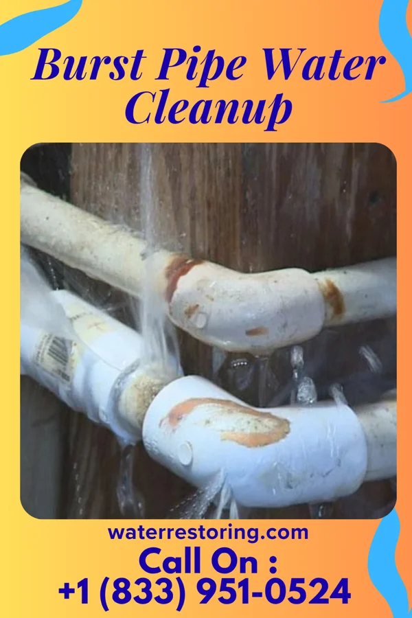 Burst Pipe Water Cleanup in Glassboro, NJ