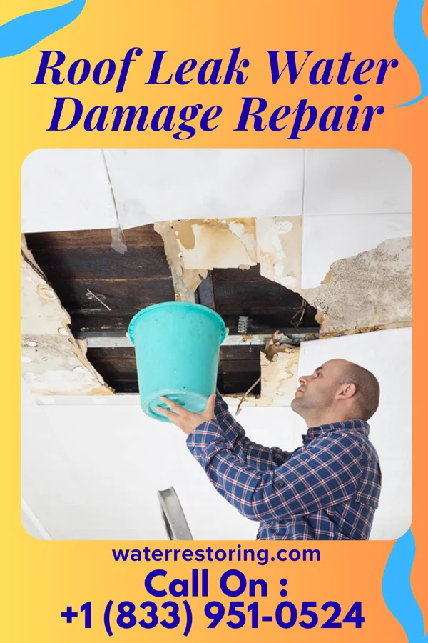 Roof Leak Water Damage Repair in Glassboro, NJ