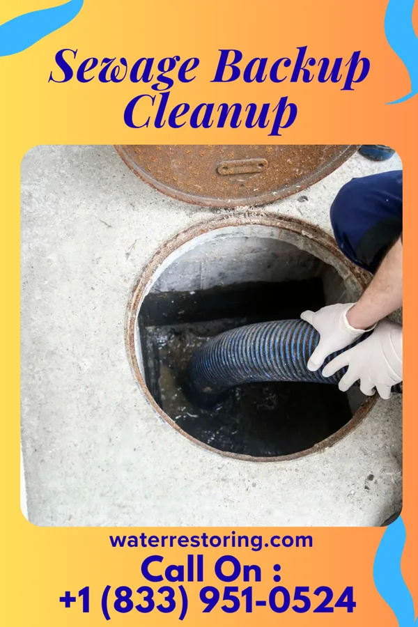 Sewage Backup Cleanup in Glassboro, NJ