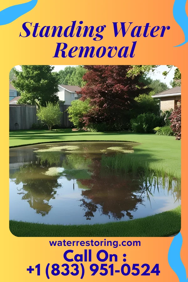 Standing Water Removal in Glassboro, NJ